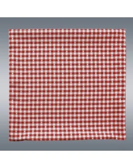 Kissenbezug Leni rot kariert 40x40 cm